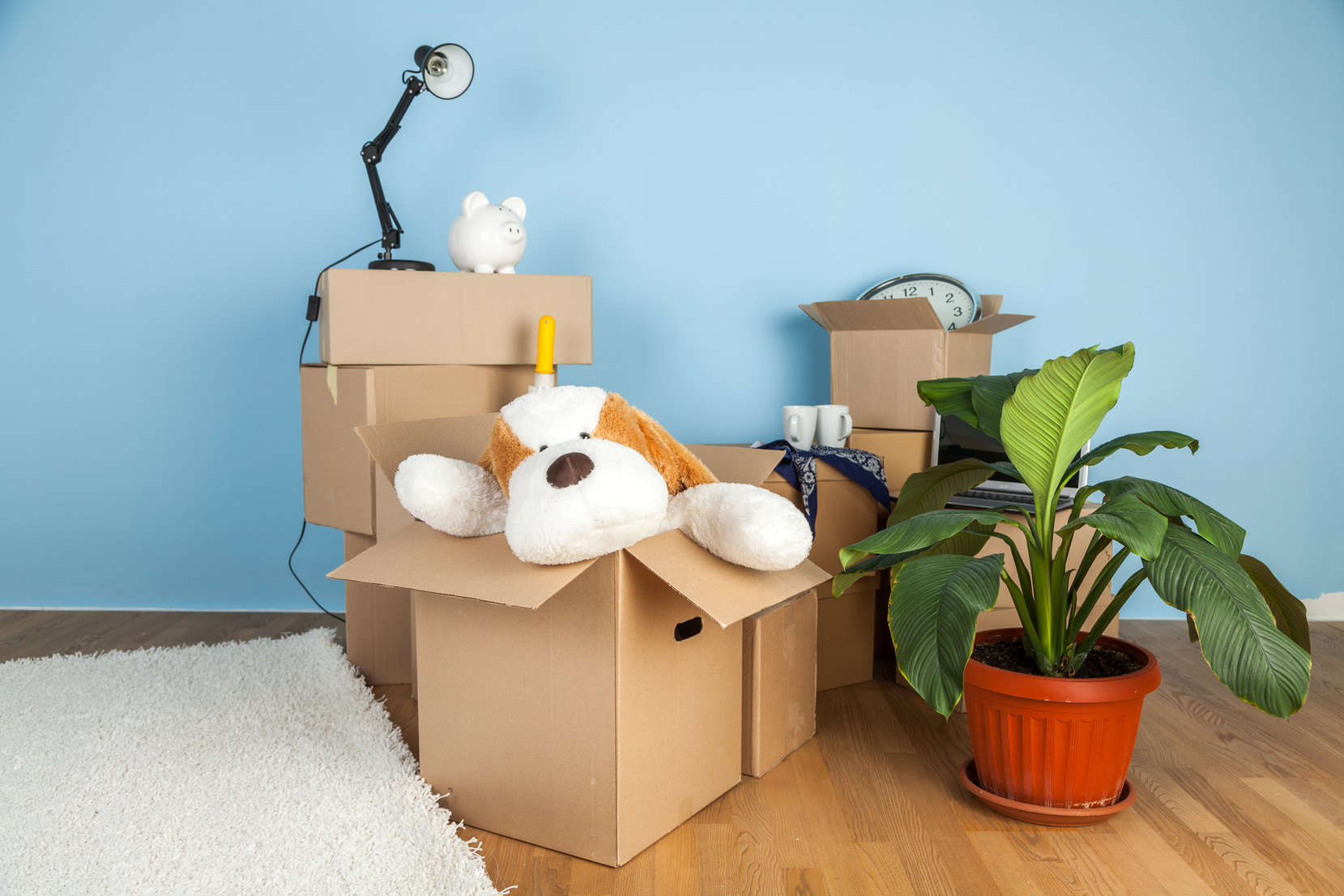 box